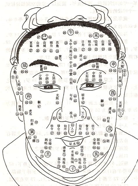 頭形 相學|【頭形 相學】頭形相學大揭密：一窺頭型與命運的奧秘